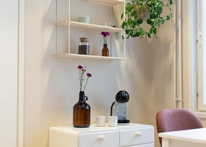 Terkkari בית הארחה